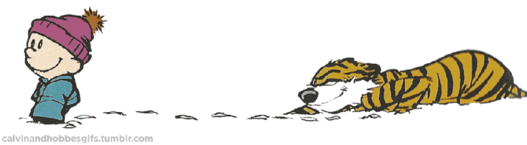 Hobbes Set To Go.gif