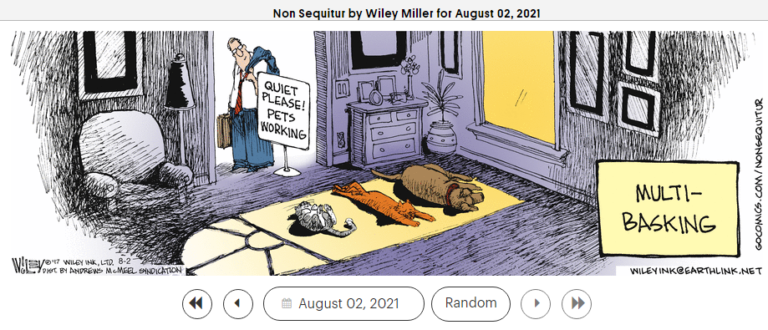 Non Sequitur August 2 21.PNG