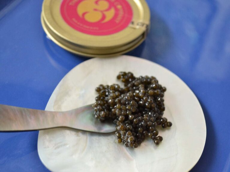 Caviar-Number-3-Beluga-Baerii-new-website.jpg