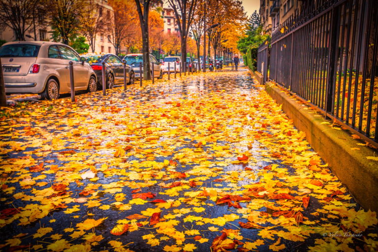 rainy-autumn-day-in-paris-by-valerii-tkachenko.jpg