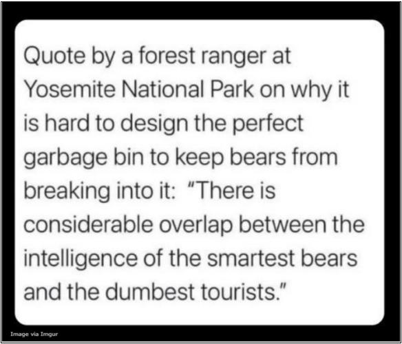 Bear-Proof Garbage Bin.jpg