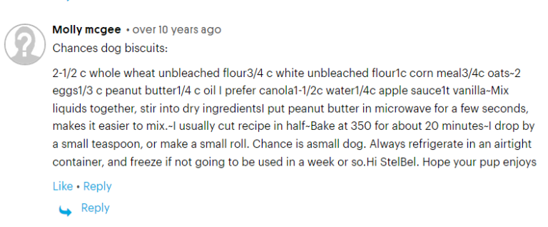 Chances dog biscuits Molly McGee.PNG