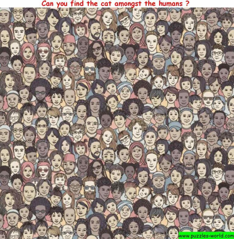 Can you find the cat amongst the human beings.jpg