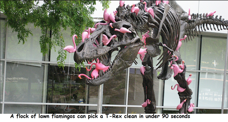 Lawn-Flamingos-T-Rex