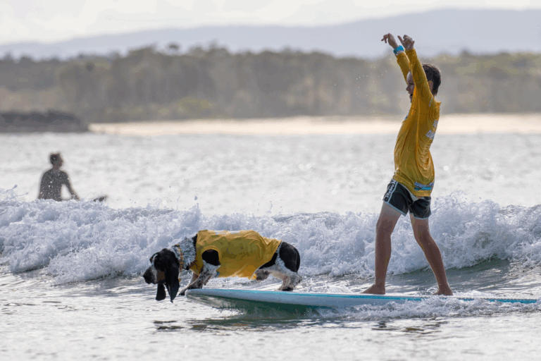 VetShopAustralia-Surfing-Dog-Championships-2025-2