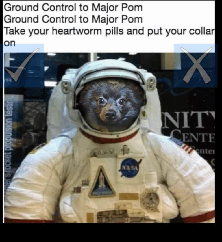 Ground-Control-To-Major-Pom